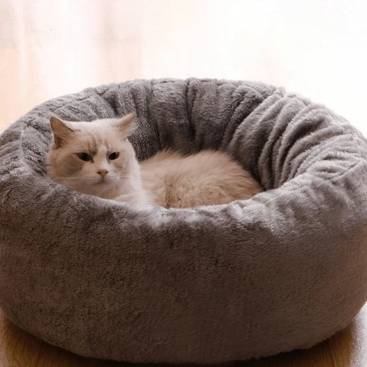 The Ultimate Comfort for Your Furry Friends