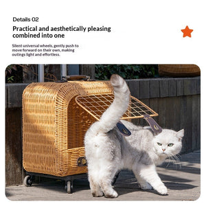 Discover the Perfect Pet Portable Woven Rattan Carrier