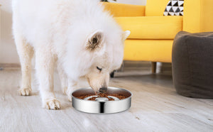 Revolutionize Your Pet's Mealtime with Our Stainless Steel Slow Feeder Bowl