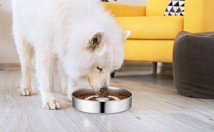 Revolutionize Your Pet's Mealtime with Our Stainless Steel Slow Feeder Bowl
