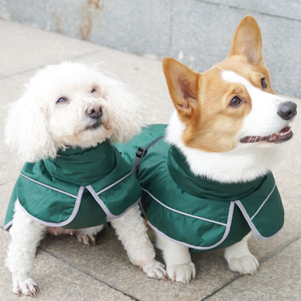 be82668367a950d17da521a8800d0852